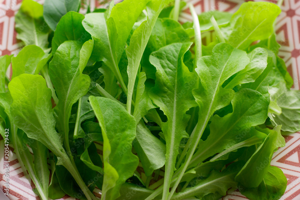 top view fresh green salad leaves top view fresh green salad leaves