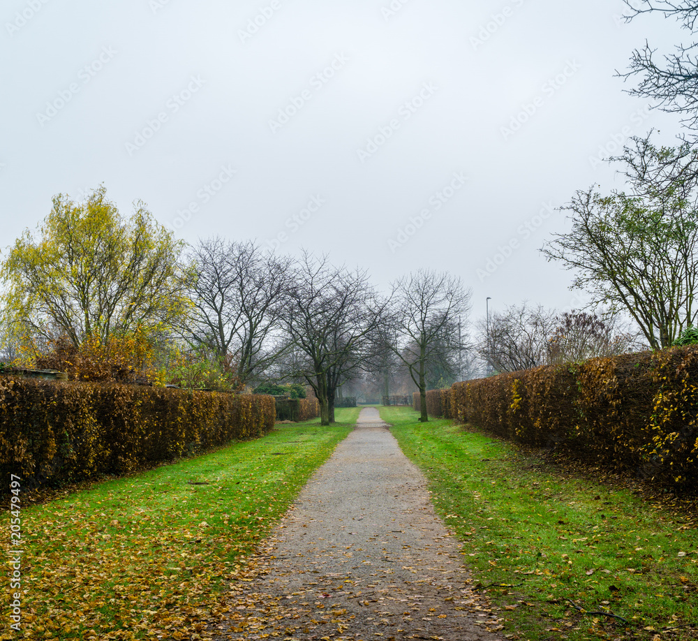 Path in park