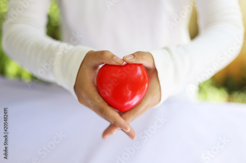 A couple  hands holding a red heart to give with love and romance on Valentine s day concept