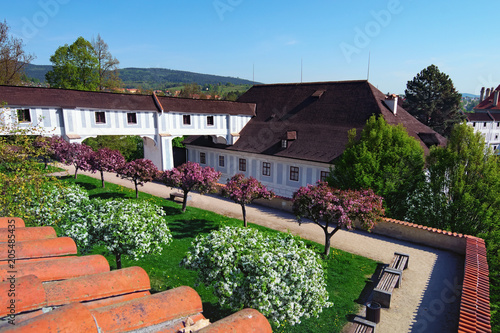 Little garden with trees. Sakura flowers are blooming. Viewing platform in the medieval Cesky Krumlov castle. Czech Republic. Spring sunny morning