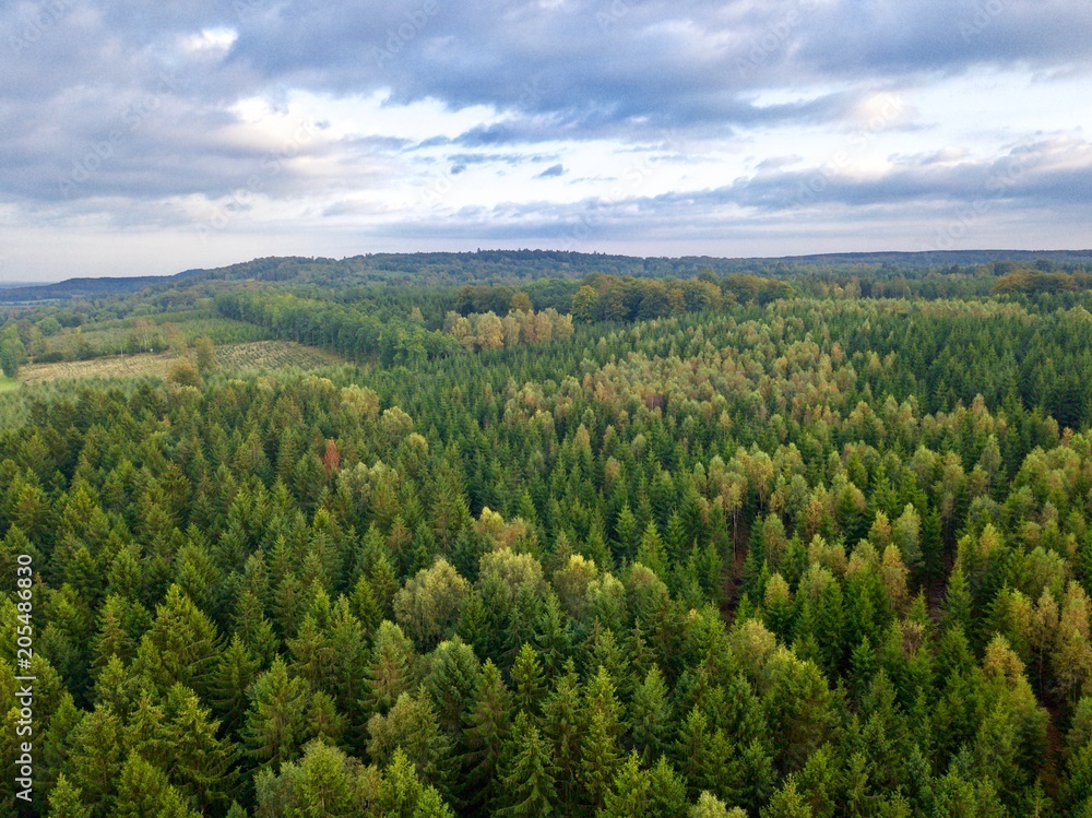 Aerial view over swedish conifers green forest with hills in the background, Automn countryside Skåne County, Sweden