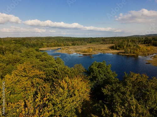 Aerial view over swedish forest with green and yellow leafs with lake in the background, countryside Skåne County, Sweden
