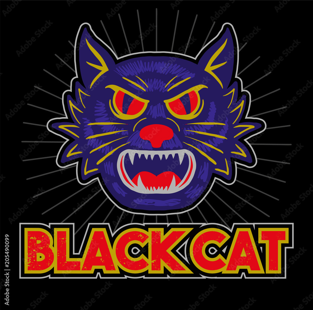 Black cat Black cat