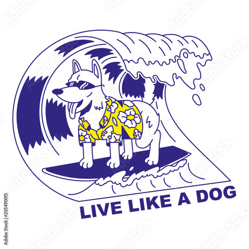 Live like a dog
