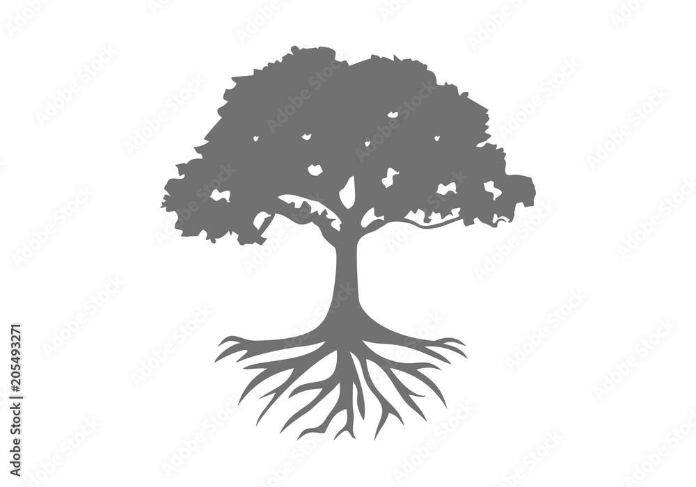 Fototapeta Tree root logo vector