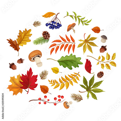 Vector sketch autumn forest symbol set
