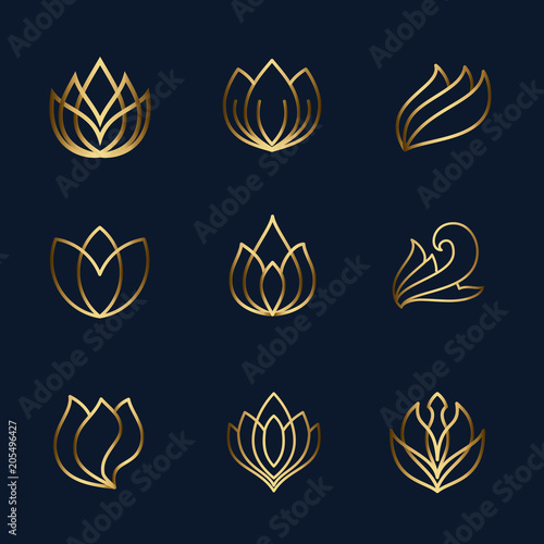 Fototapeta Naklejka Na Ścianę i Meble -  lotus logo, set of outline stroke natural icons vector illustration