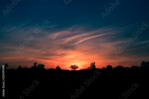 The fiery sunset and the silhouette of the trees