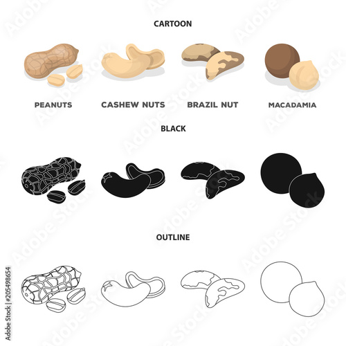Peanuts, cashews, brazil nuts, macadamia.Different kinds of nuts set collection icons in cartoon,black,outline style vector symbol stock illustration web.