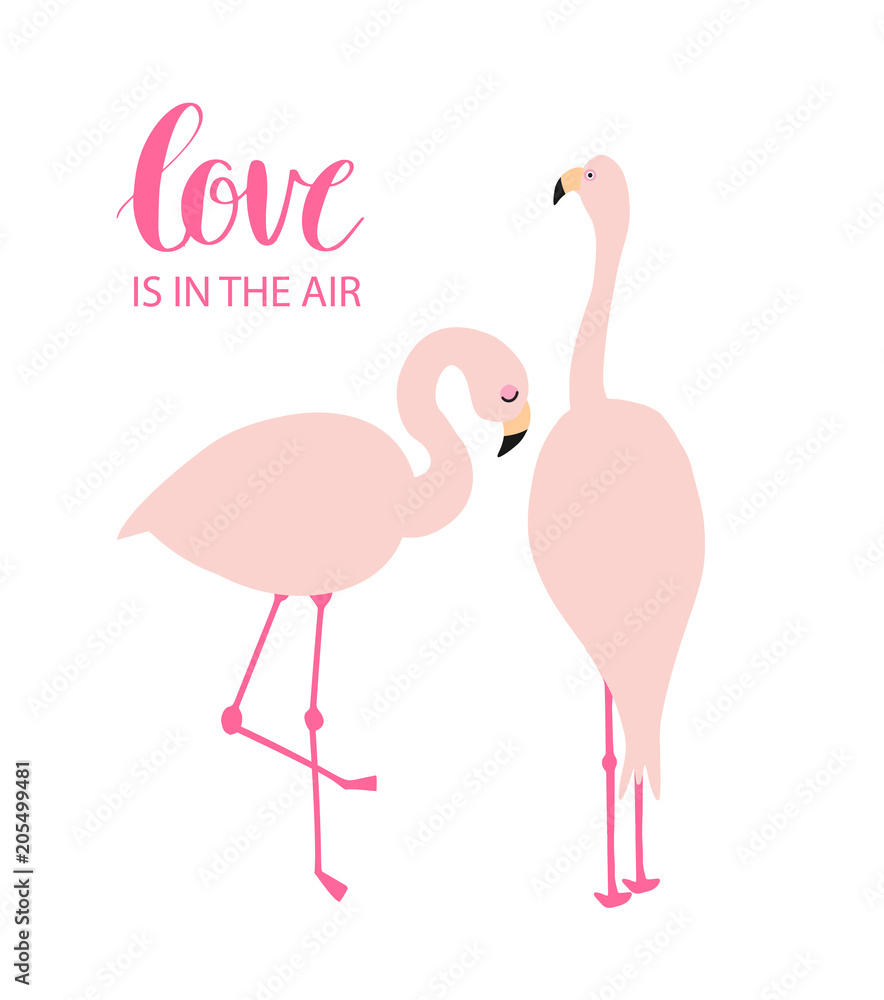 Two pink flamingos in love