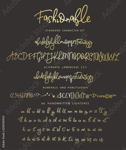 Handrawn vector alphabet. Letter for script font.