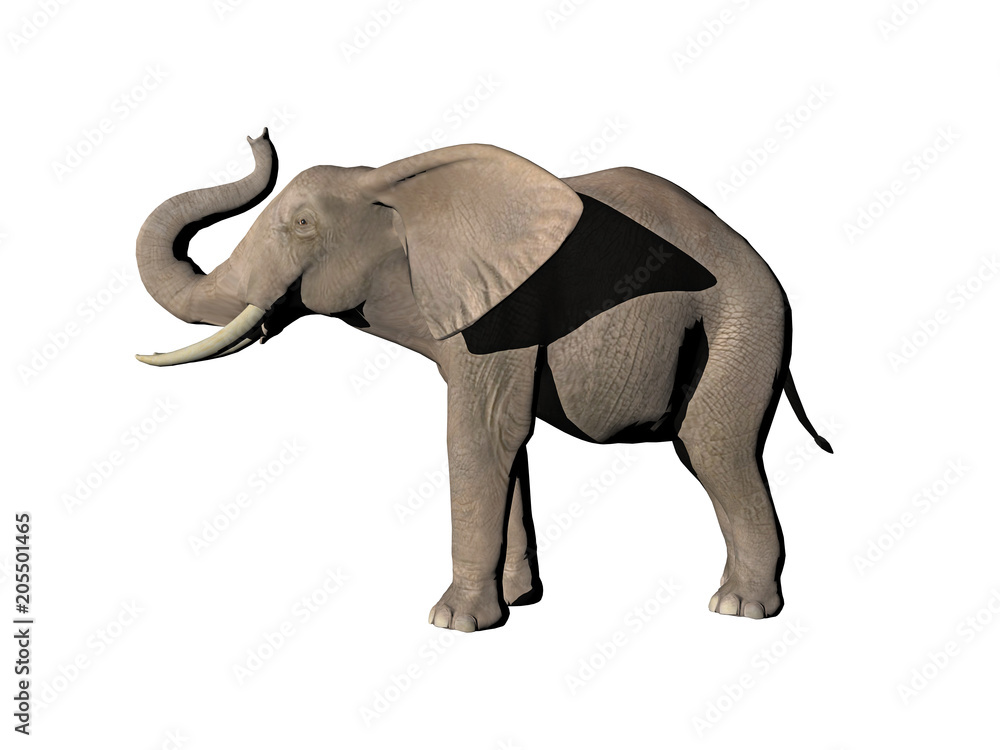 Elefant mit Stoßzähnen