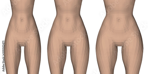 Different types of waist