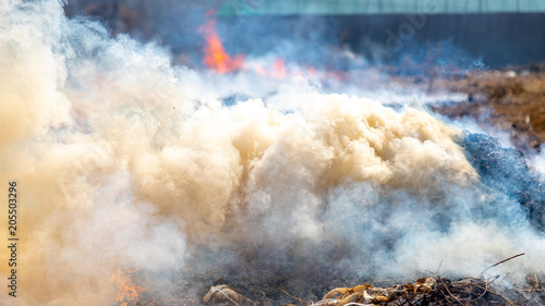 The field is burning