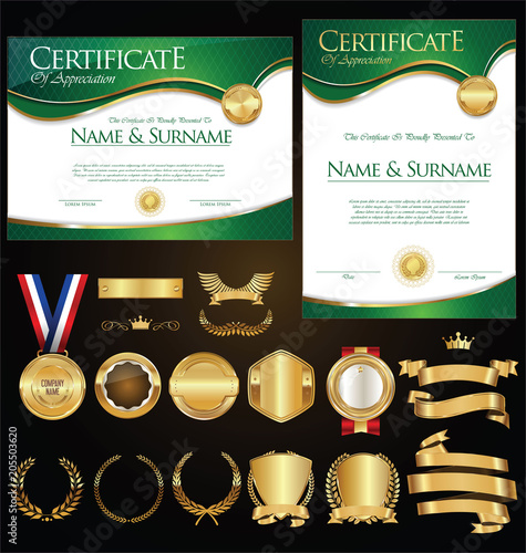 Collection of certificate badges labels shields and laurels 