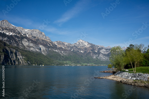 View on the Walensee in Switzerland from Unterterzen. photo