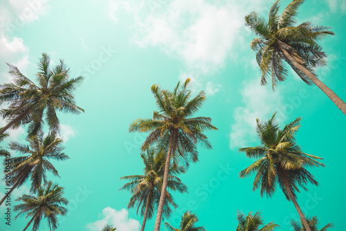 Coconut palm trees - Tropical summer breeze holiday, Vintage tone © pla2na
