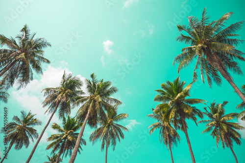 Coconut palm trees - Tropical summer breeze holiday  Vintage tone