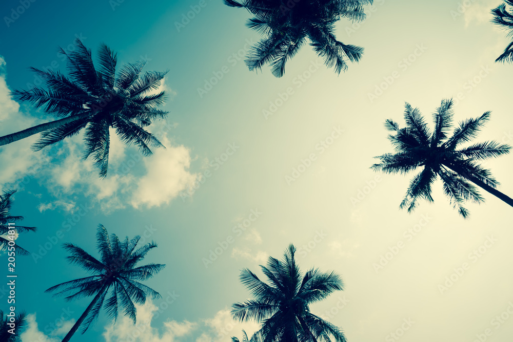 Fototapeta premium Coconut palm trees - Tropical summer breeze holiday, Retro tone