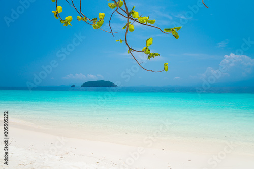 Fototapeta Naklejka Na Ścianę i Meble -  Beautiful tropical island white sand beach blue sky sunny day - Summer breeze travel holiday