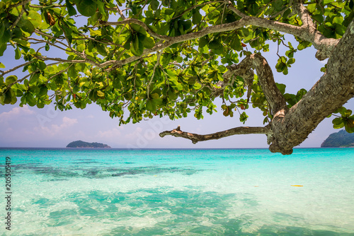 Fototapeta Naklejka Na Ścianę i Meble -  Crystal clear water of tropical island beach in sunny day - Summer breeze travel holiday