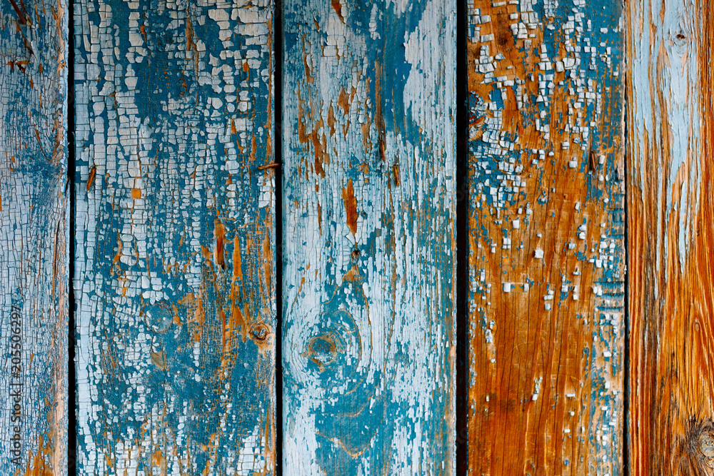 the texture of wooden boards with old cracked paint. orange wood, blue-blue paint, vertical row the texture of wooden boards with old cracked paint. orange wood, blue-blue paint, vertical row