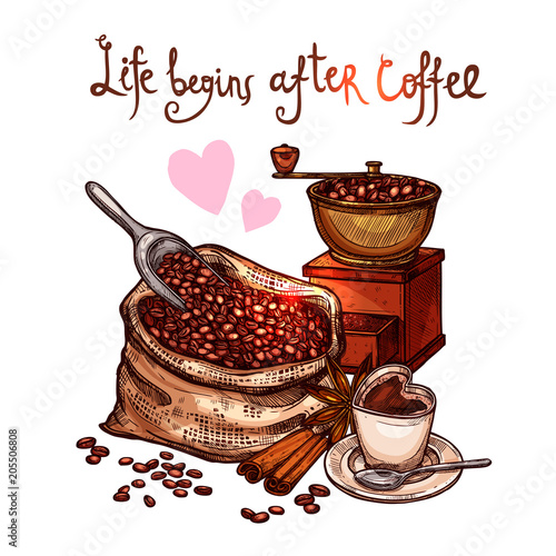 Sketch Color Coffee Illustration. Hand Drawn Still Life With  Coffee Mill, Cup, Bag With Beans, Cinnamon And Lettering