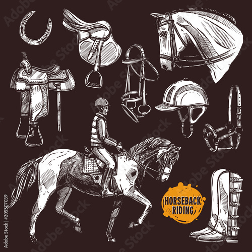 Hand Drawn Equipment For Horses. Horse And Horseback Riding Sketch Set On Chalkboard