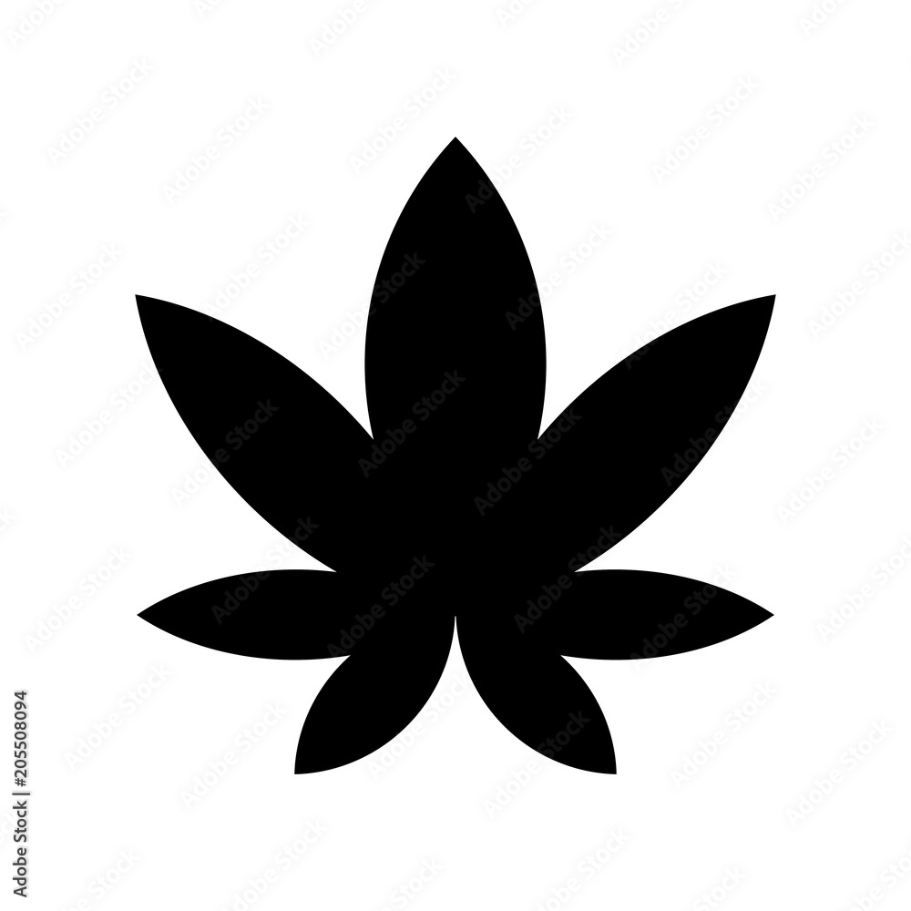 marijuana marijuana