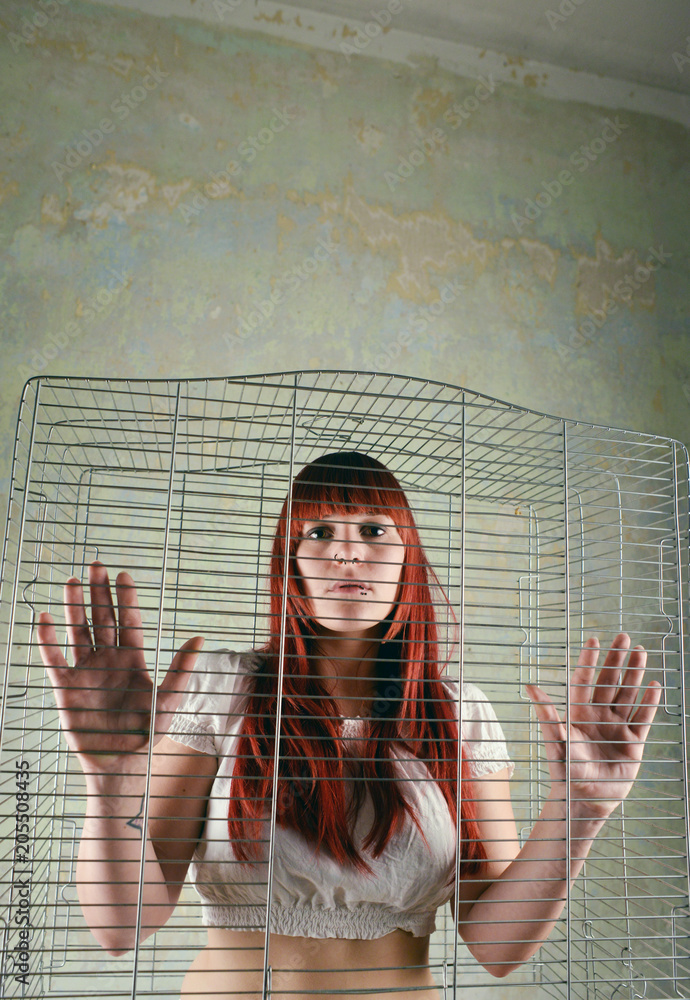 Bird cage indoor and concept woman rights - obrazy, fototapety, plakaty 