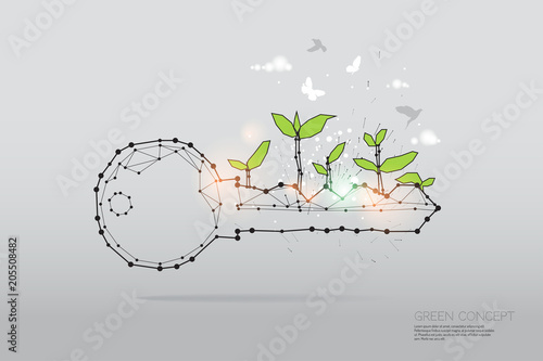 The particles, geometric art, line and dot of nature growth.