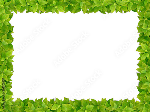 Square frame from fresh green leaves on white background. Realistic vector isolated.