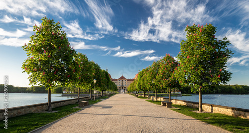 Fotografía Schloss Moritzburg am Abend
