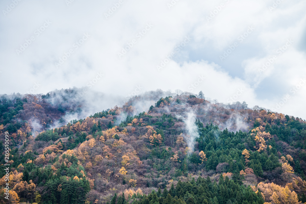 Mist on the top of mountain autumn season, Japan Mist on the top of mountain autumn season, Japan