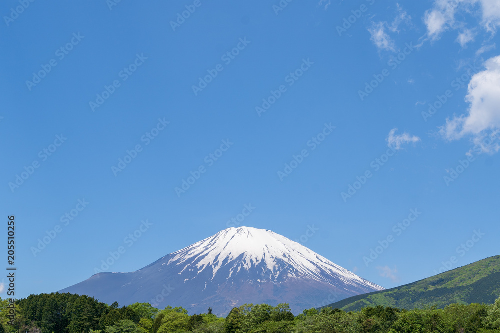 富士山 富士山
