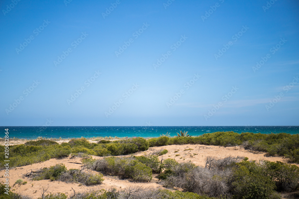 Paradisiac beach bathed by the Mediterranean sea with preserved dunes of Arenales del Sol in Elche, Spain
