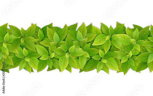Vector horizontal seamless border with green leaves. Element for the design of a frame, background or garland.