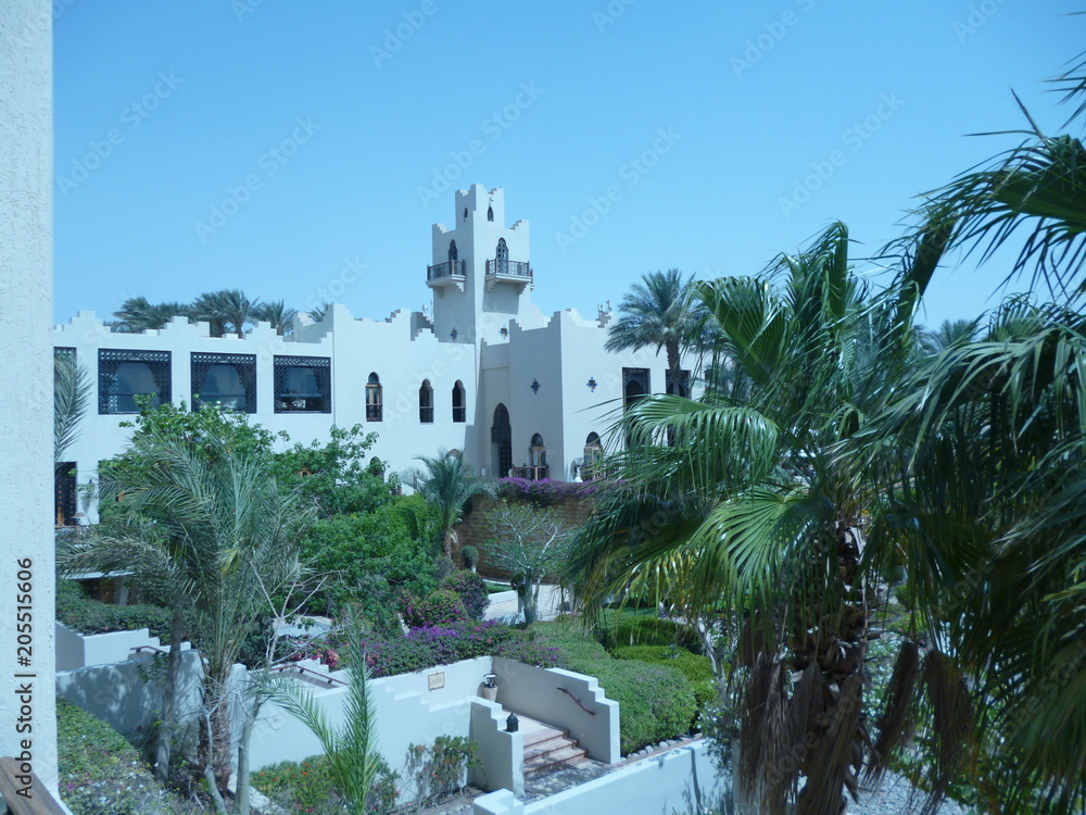 Fototapeta premium природа