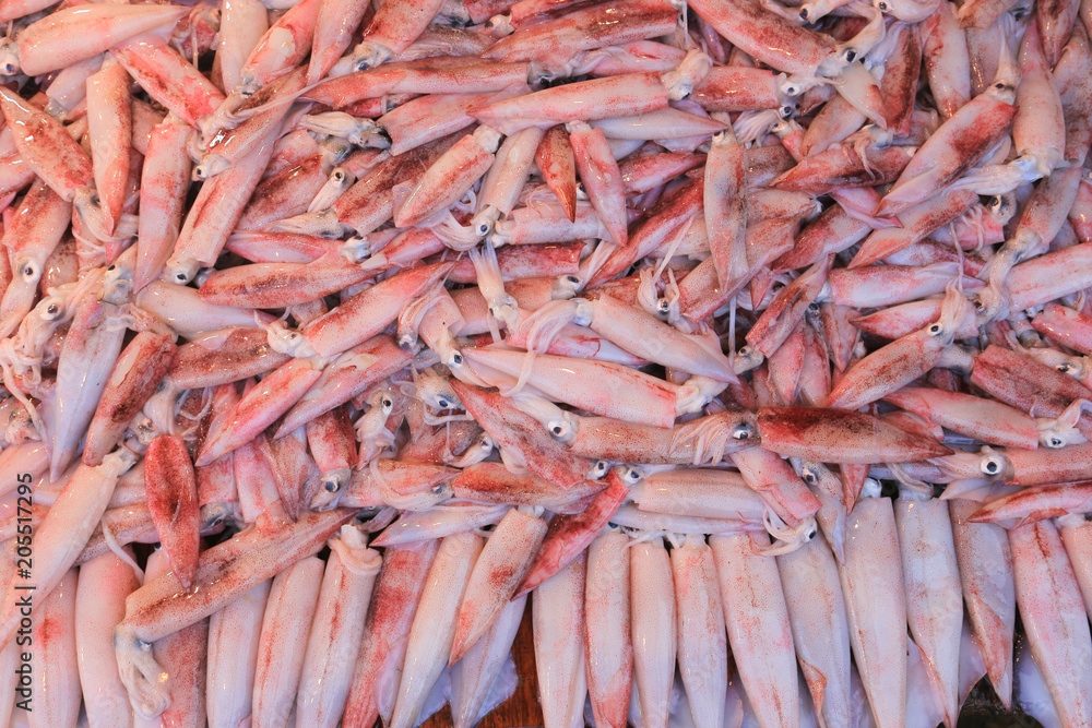 Fresh squid. Seafood Fresh squid. Seafood