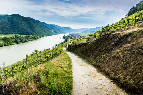 Landscape of Wachau valley, Danube river, Austria. photo