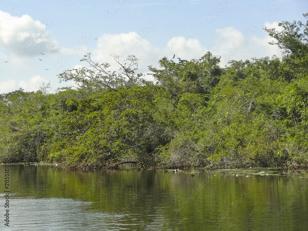 New River in Belize
