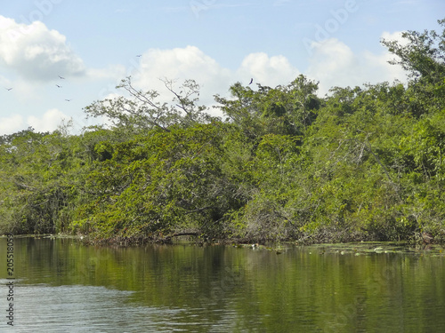 New River in Belize