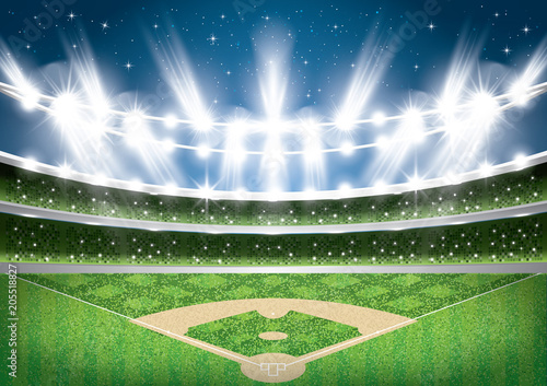 Baseball Stadium with Neon Lights. Arena.
