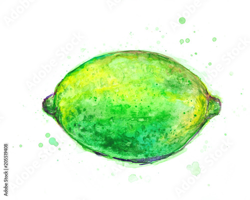Watercolor lime summer fresh tropical tasty