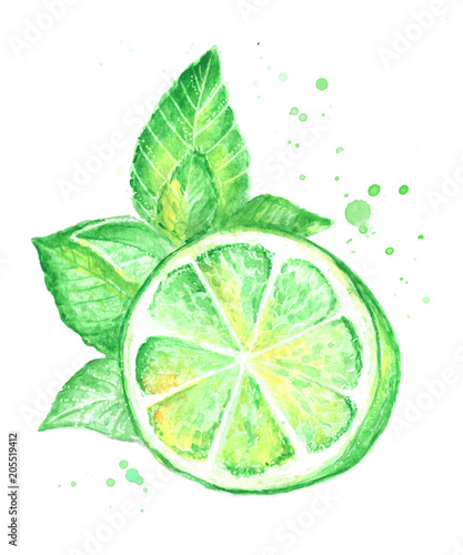 Watercolor lime juicy fresh tropical summer