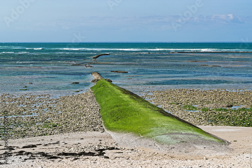 Écluse à poissons