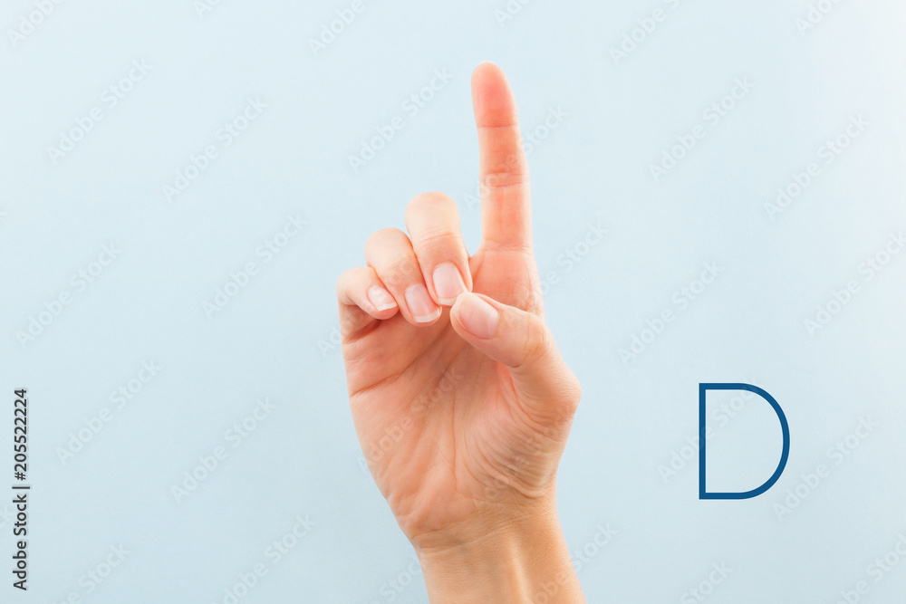 American sign language D. American sign language D.