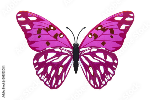Beautiful pink butterfly © aquariagirl1970