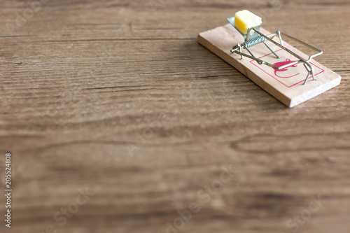 Fotografie Mouse trap with cheese on it