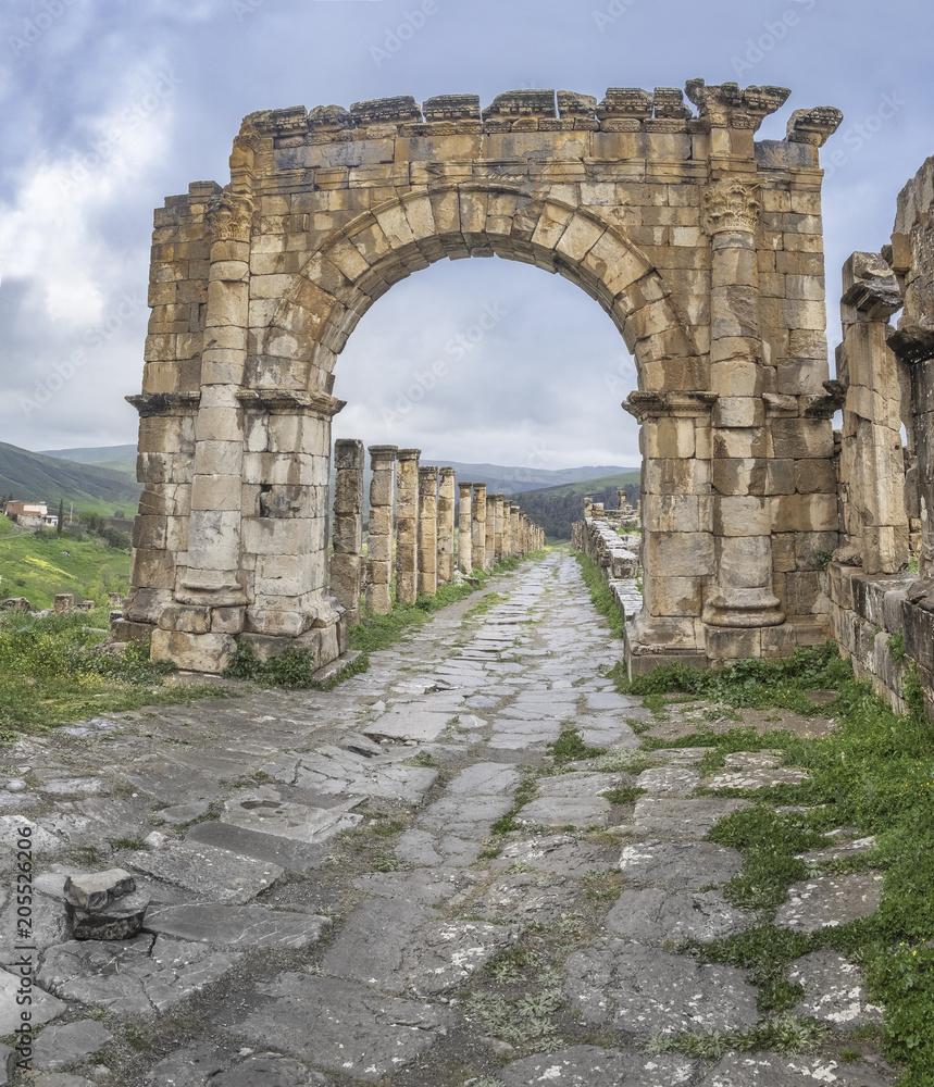 Triumphal arch and road in roman town Cuicul at village Djemila, Algeria